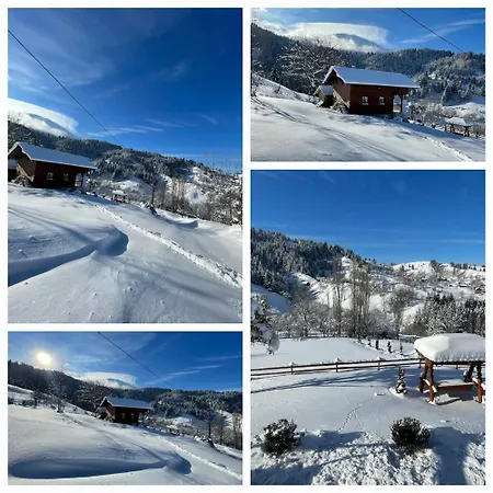 Merisorului Case de vacanță *
