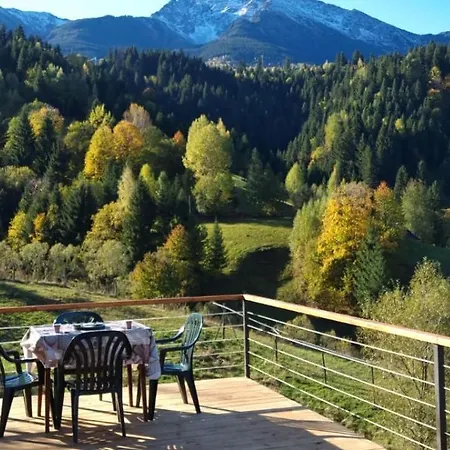 Hébergement de vacances Merisorului Borşa