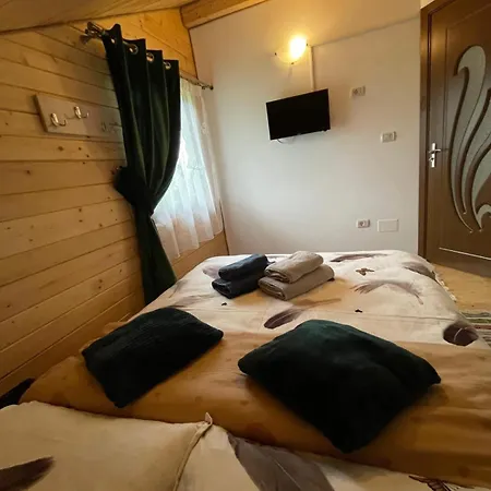 Case de vacanță Merisorului Borşa