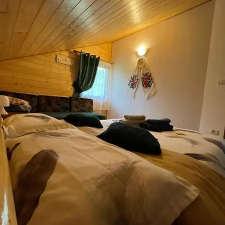 Merisorului Borşa