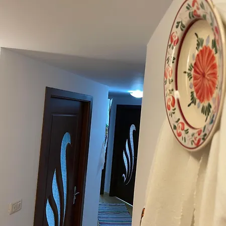 Prázdninový dům Merisorului Borşa