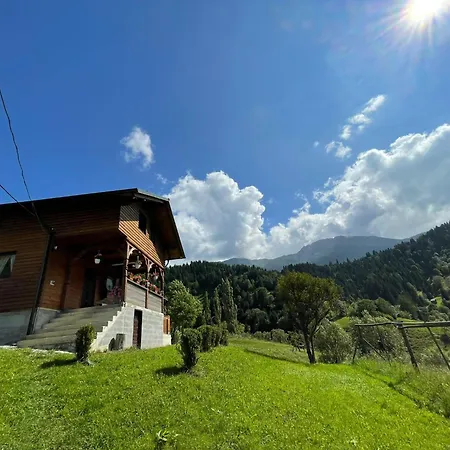 Merisorului Case de vacanță *