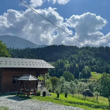 Merisorului