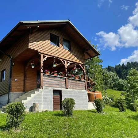Merisorului Case de vacanță