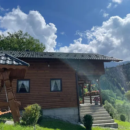 Case de vacanță Merisorului Borşa