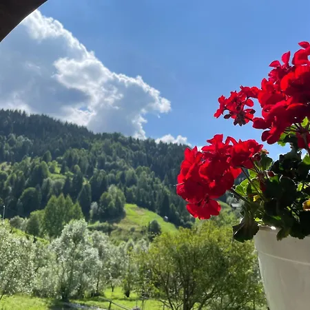 Case de vacanță Merisorului *