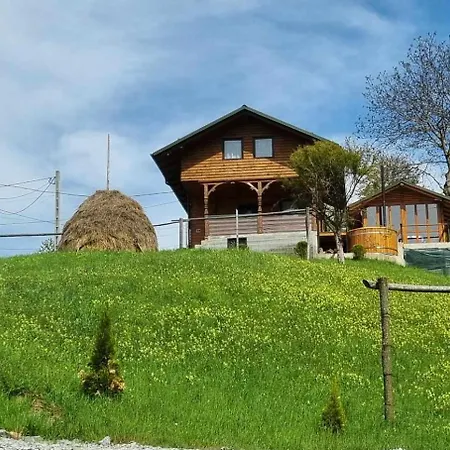 Case de vacanță Merisorului Borşa